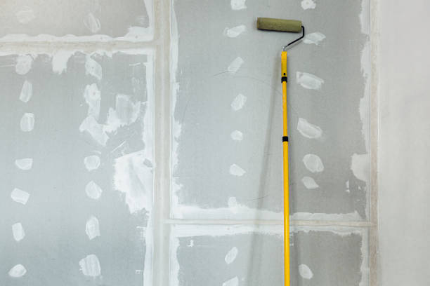 Best Mold-Related Health Consultation  in Braidwood, IL