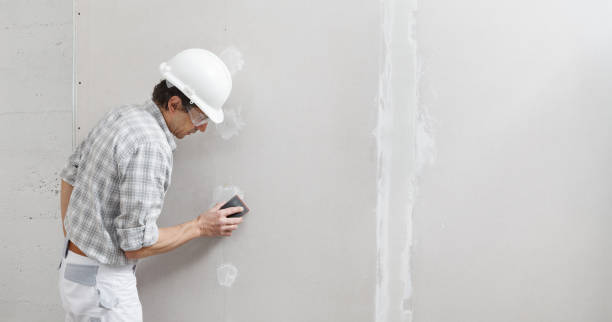 Mold Remediation for Rental Properties in Braidwood, IL