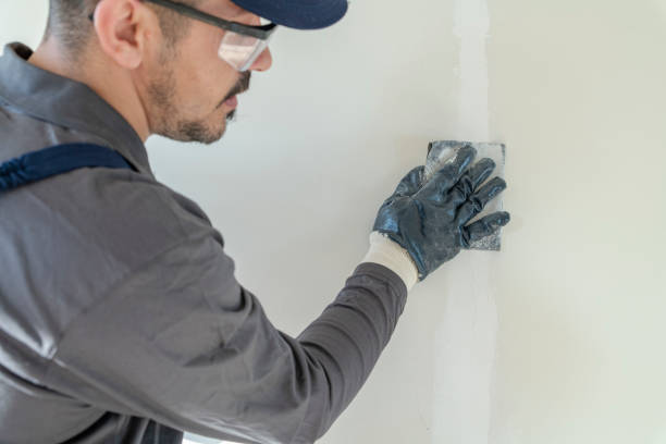 Best Airborne Mold Testing  in Braidwood, IL