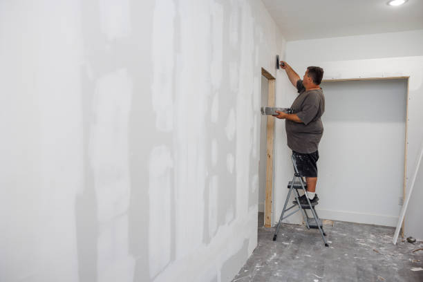Best Post-Construction Mold Inspection  in Braidwood, IL
