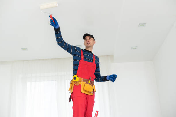 Best Post-Remediation Verification Testing  in Braidwood, IL