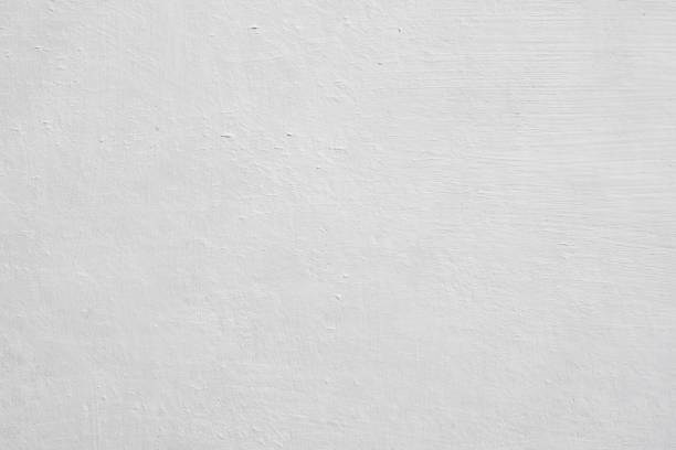 Best Mold Damage Restoration  in Braidwood, IL