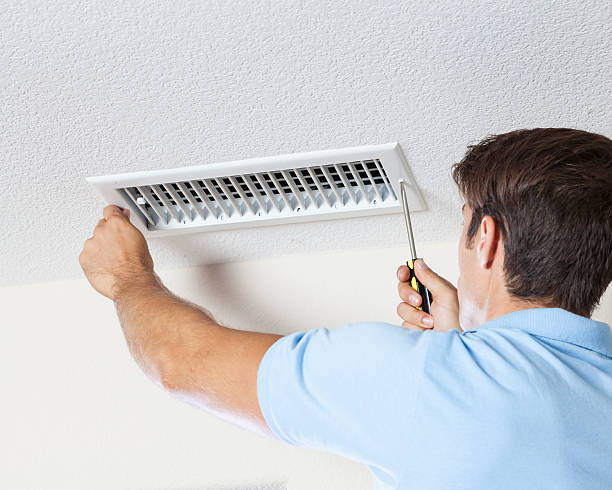 Best Mold Remediation for Healthcare Facilities  in Braidwood, IL