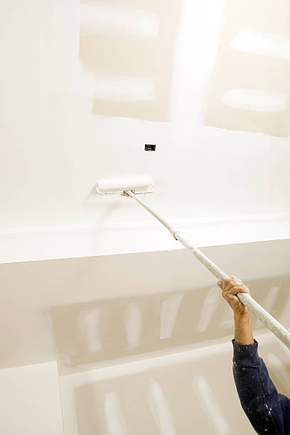 Best Commercial Mold Inspection  in Braidwood, IL