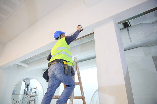Best Mold Odor Removal Services  in Braidwood, IL