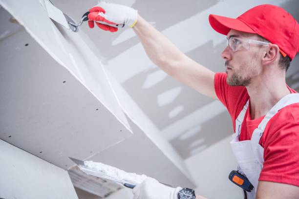 Reliable Braidwood, IL Mold Removal Solutions