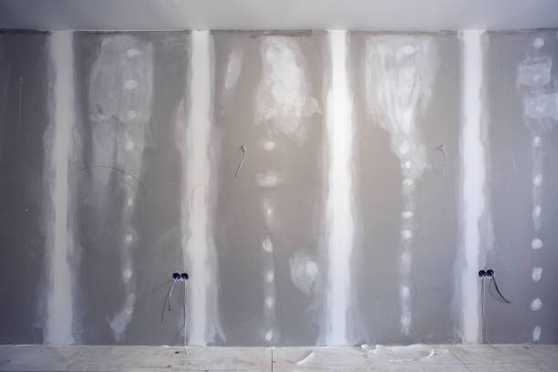 Best Residential Mold Inspection & Testing  in Braidwood, IL